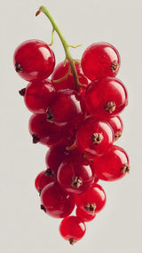 Cure Complexe Cranberry 12