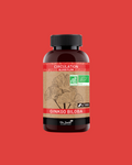 Dr Smith Organic Ginkgo Biloba