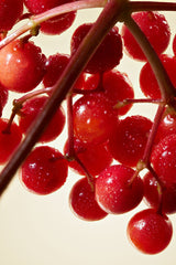 Cranberry Complex Cure 12