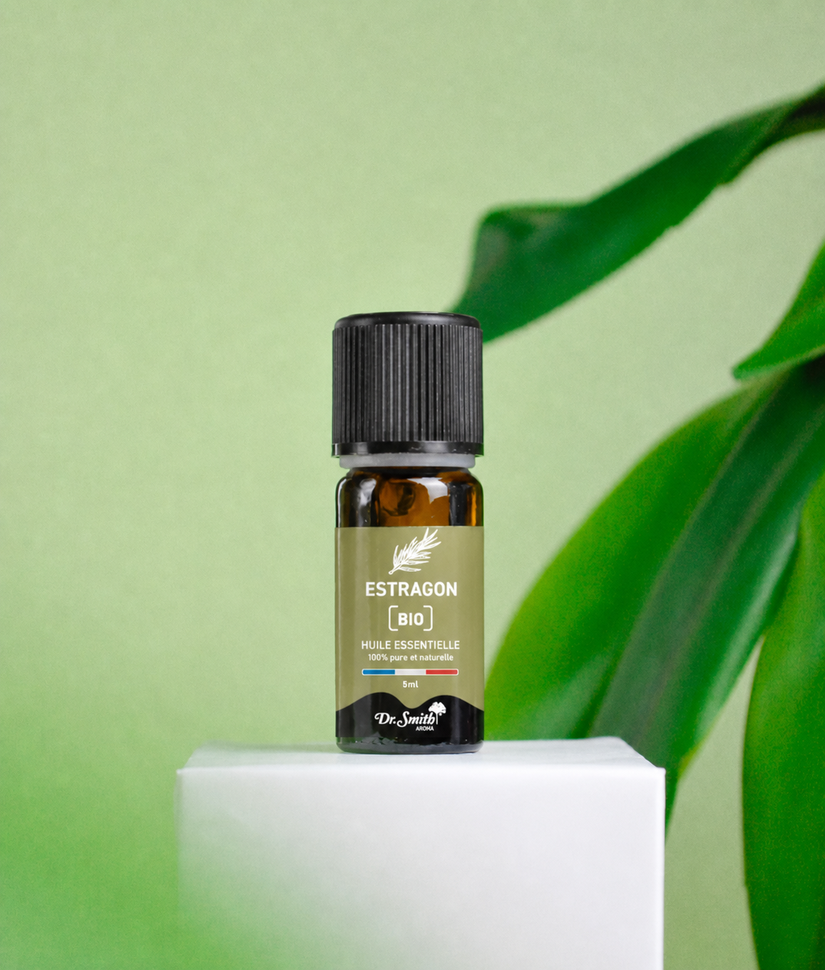 Huile Essentielle - Estragon Feuille Bio [5ml]
