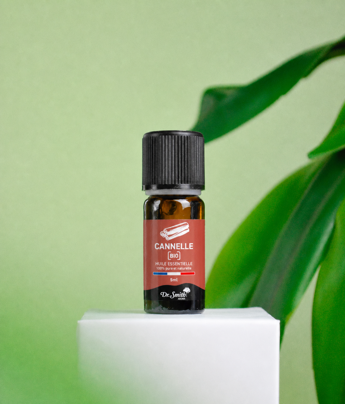 Huile Essentielle - Cannelle Écorce Bio [5ml]