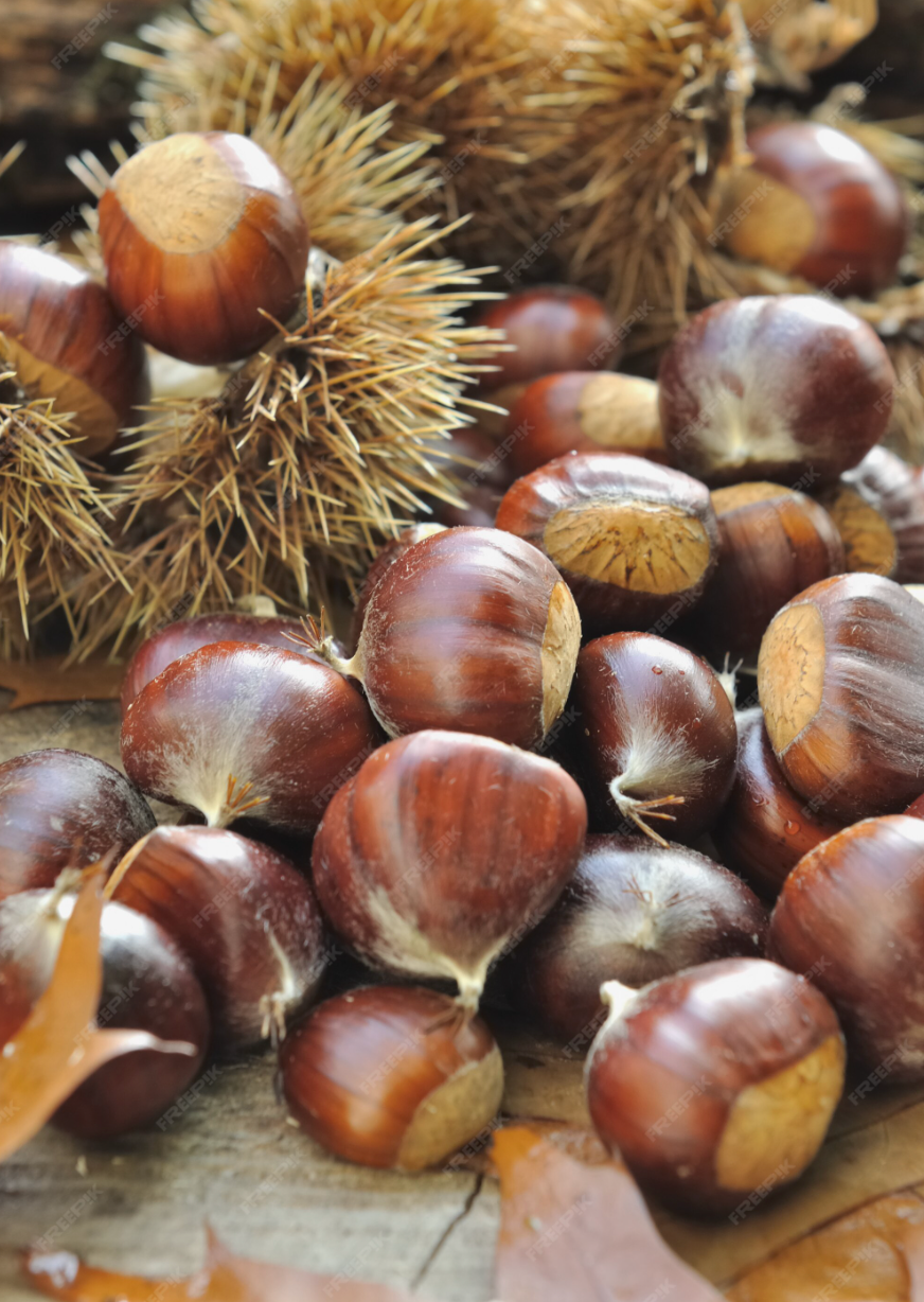 Dr Smith Marronnier D'Inde Bio