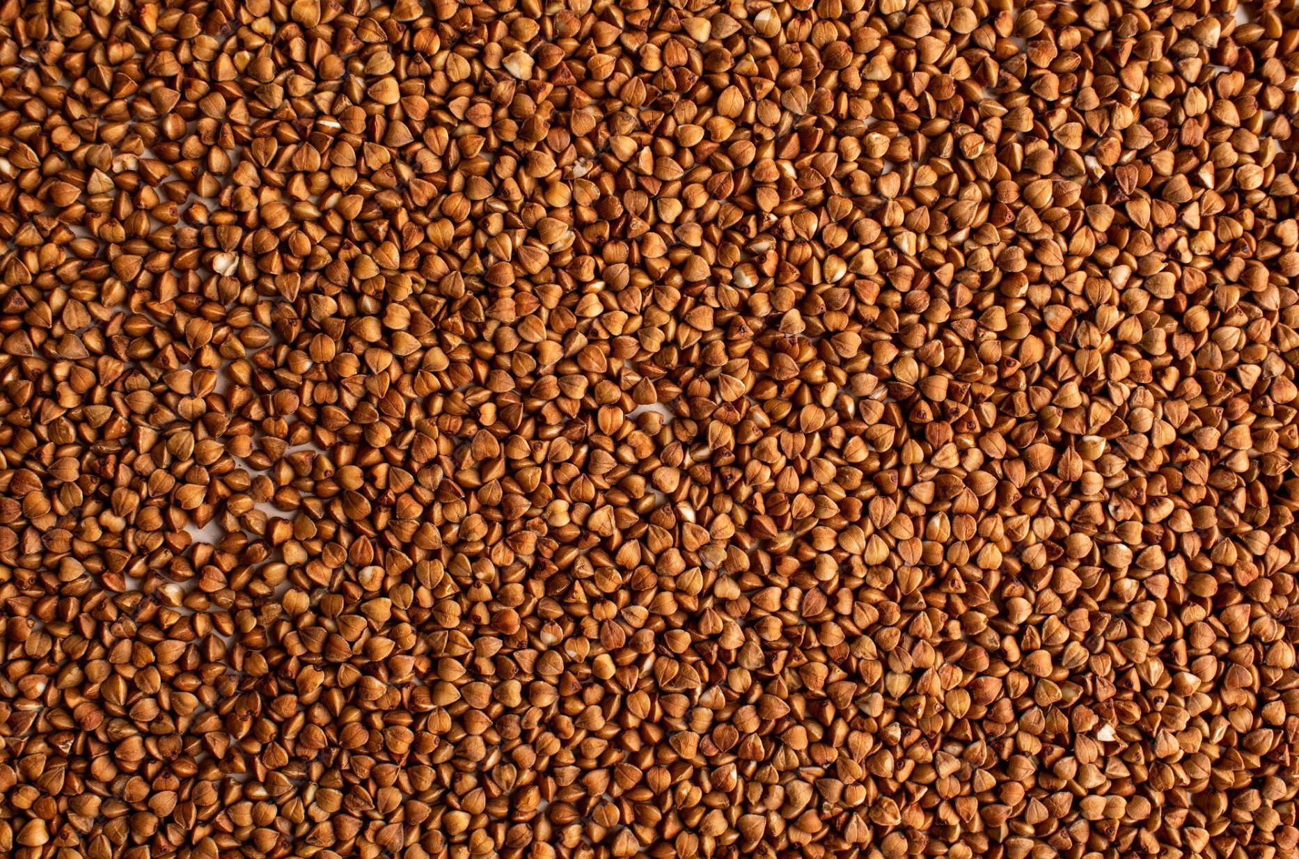 Dr Smith Fenugrec Bio