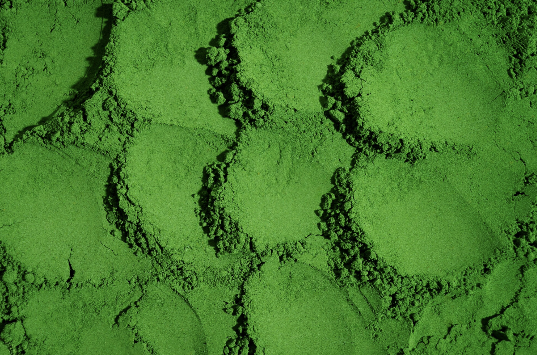 Dr Smith Spiruline Bio