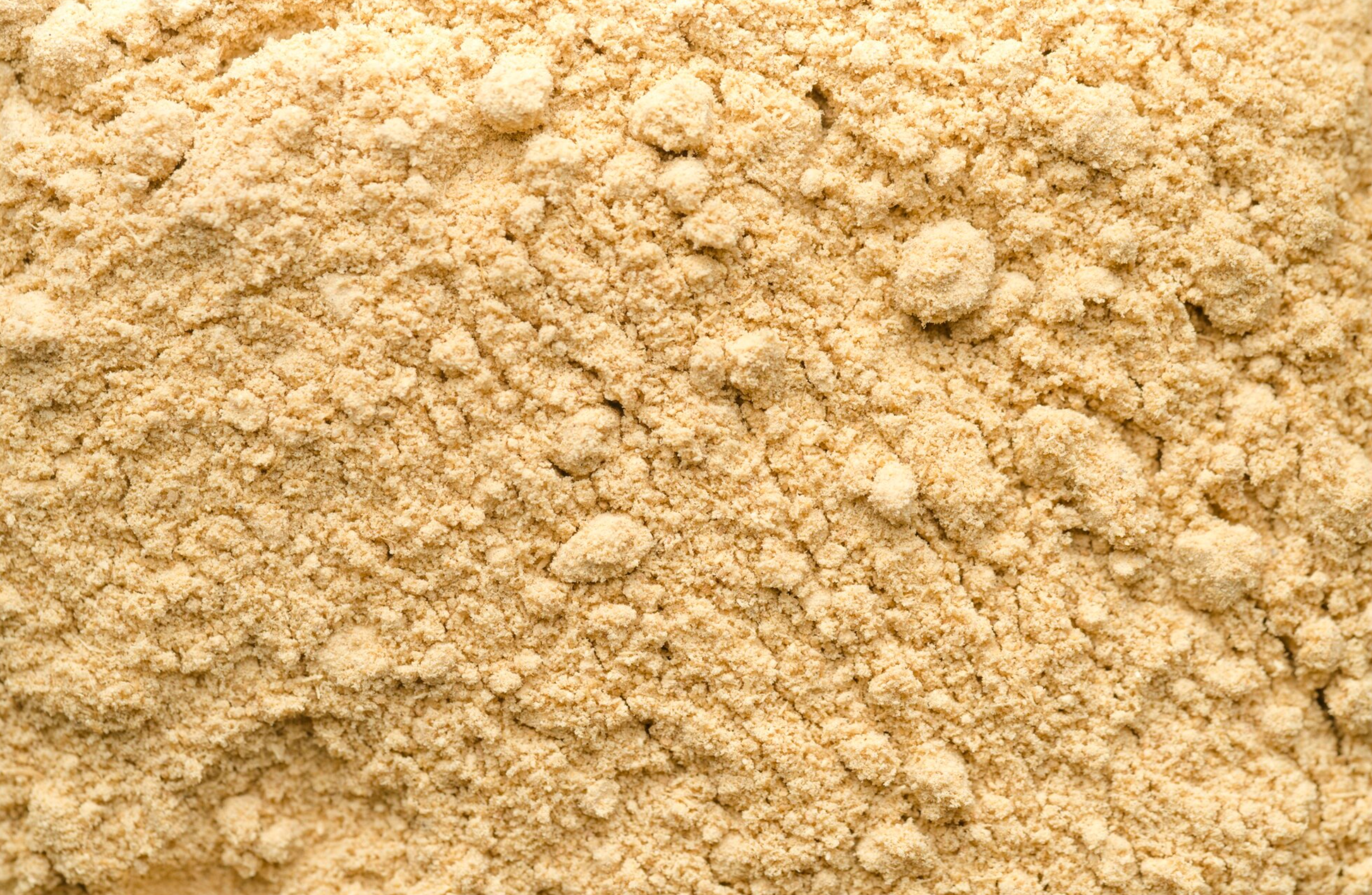 Dr Smith Levure De Bière Bio