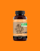 Dr Smith Echinacée Bio