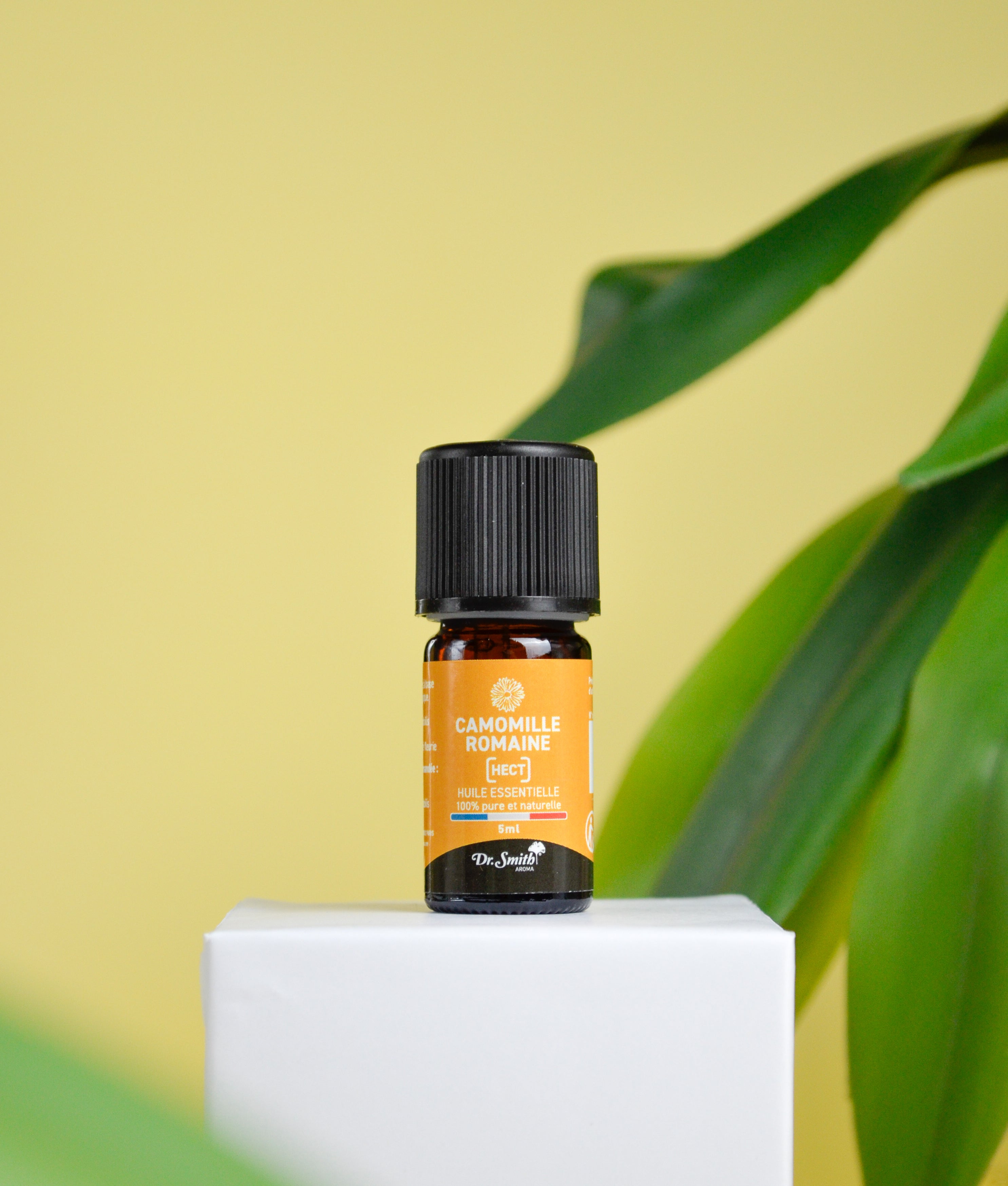 Huile Essentielle - Camomille Romaine [5ml]