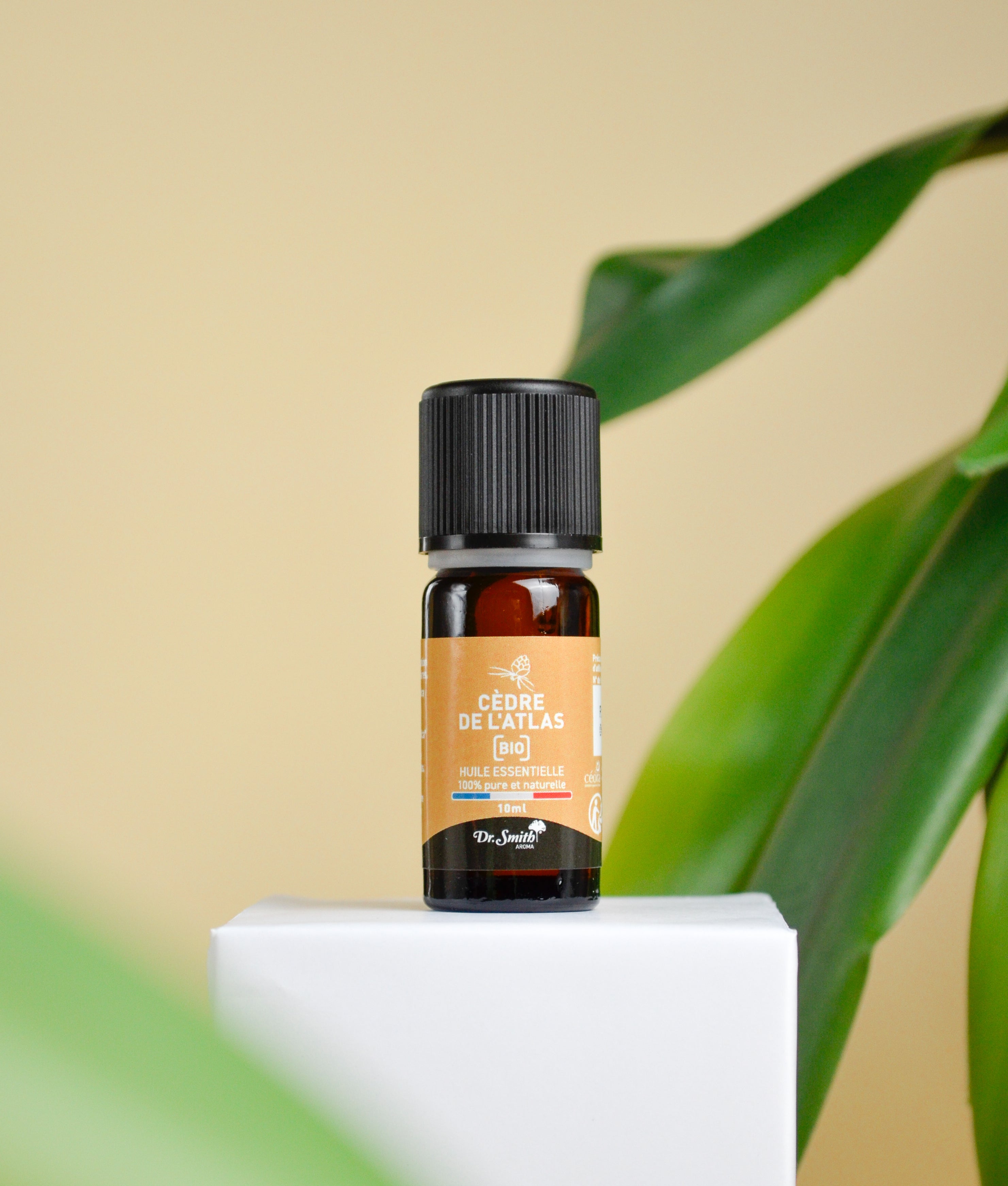 Huile Essentielle - Cèdre de l'Atlas Bio [10ml]