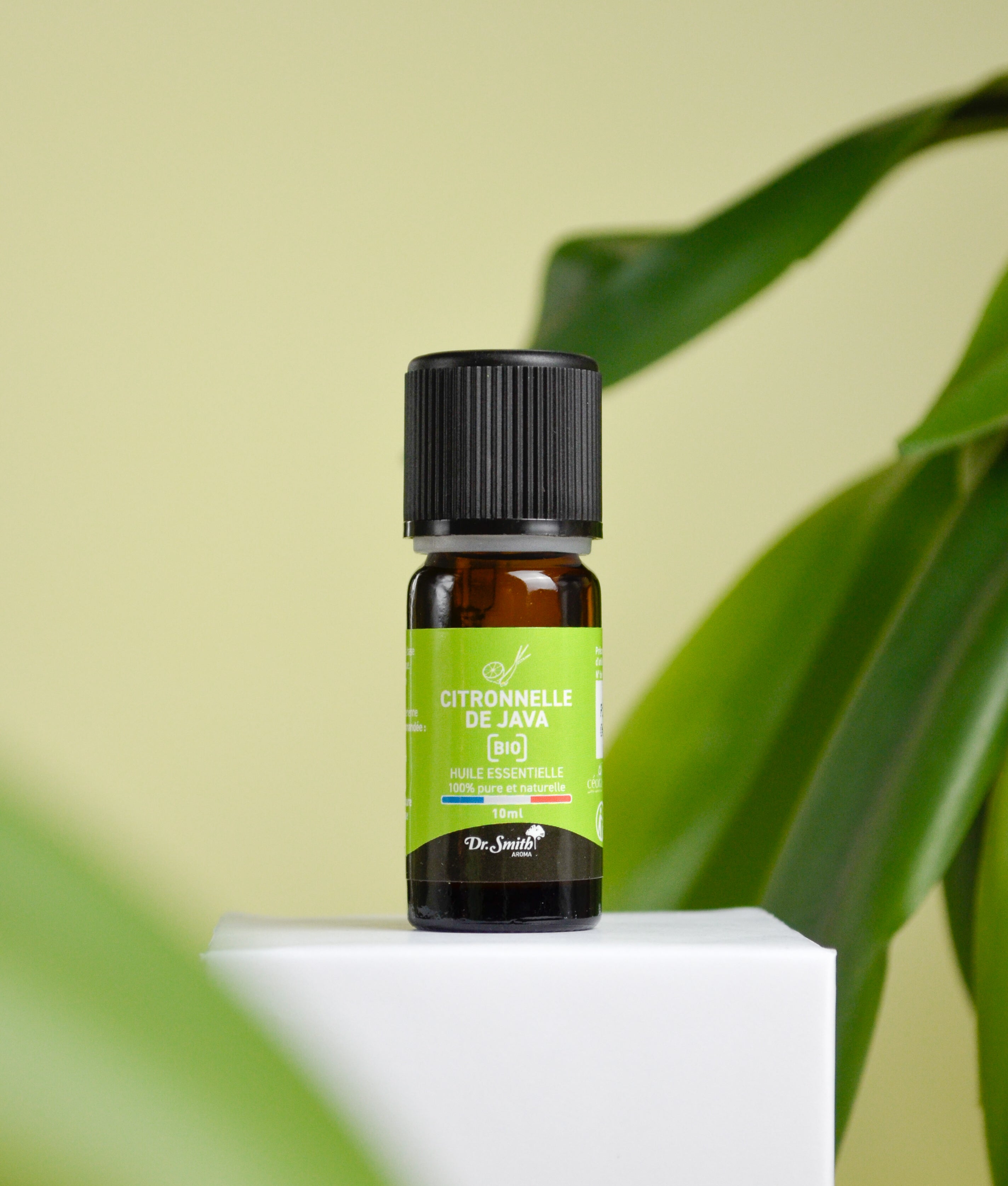Huile Essentielle - Citronnelle Bio [10ml]