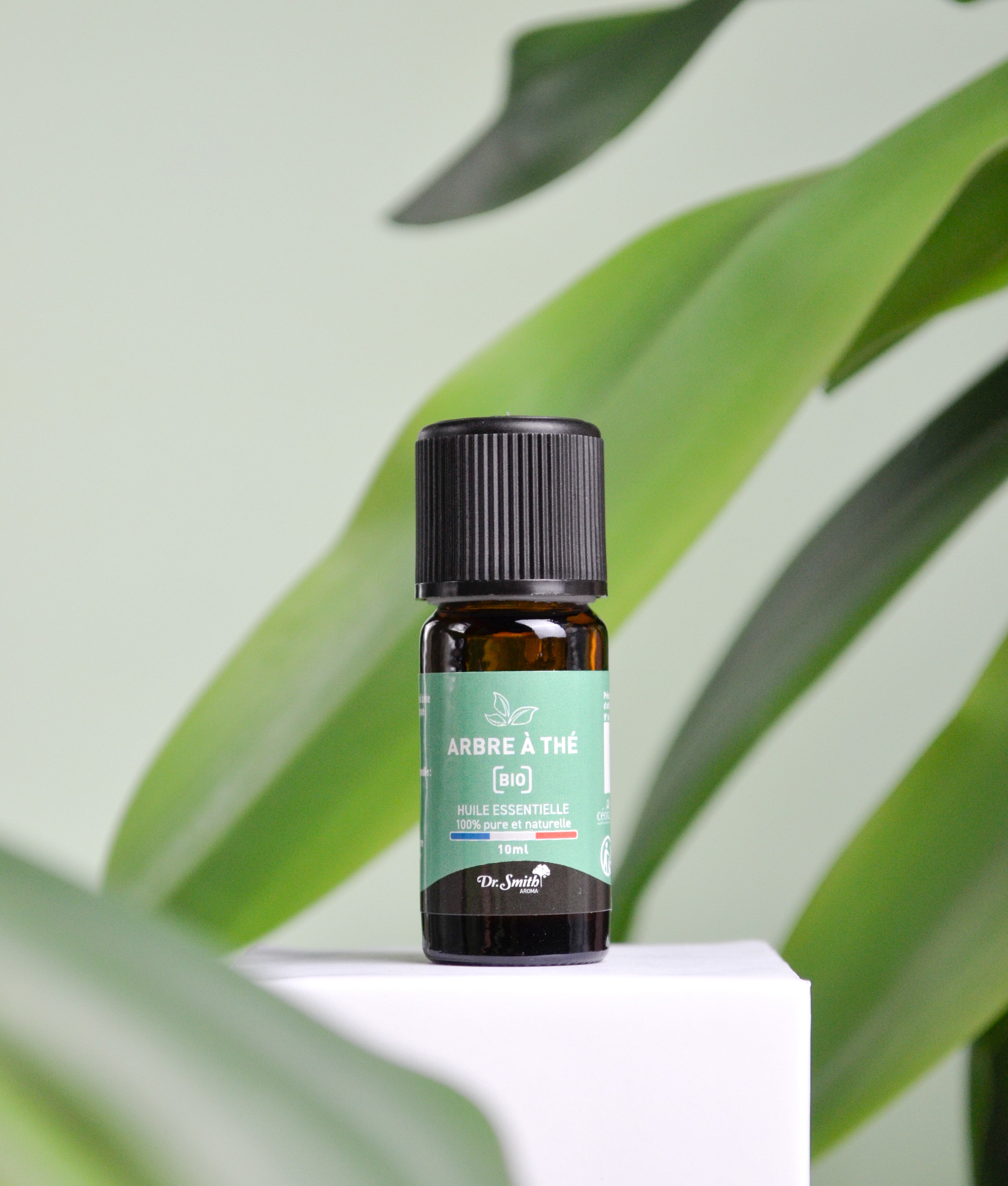 Huile Essentielle - Tea Tree Bio [10ml]