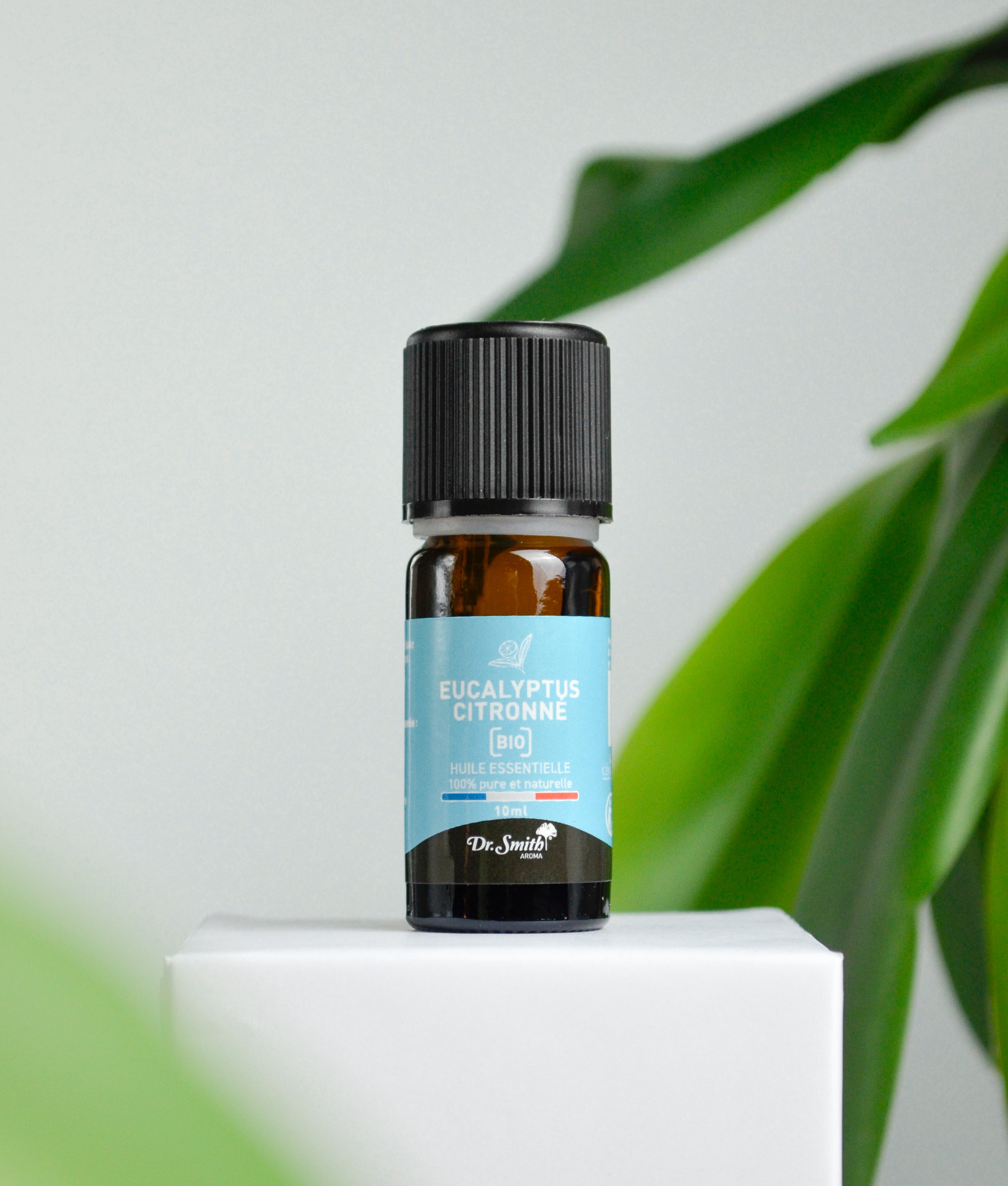 Huile Essentielle - Eucalyptus Citronné Bio [10ml]