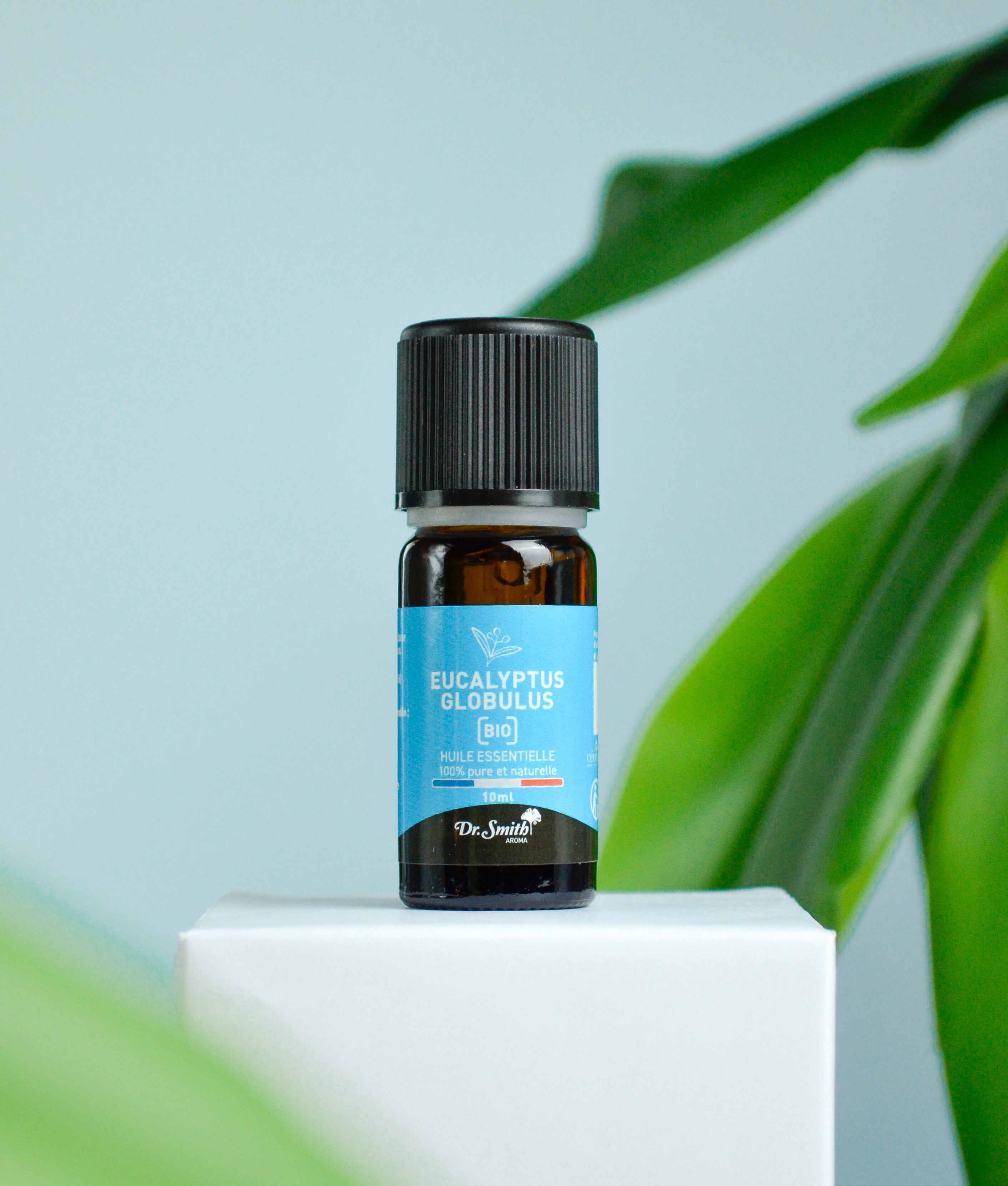 Huile Essentielle - Eucalyptus Globulus Bio [10ml]