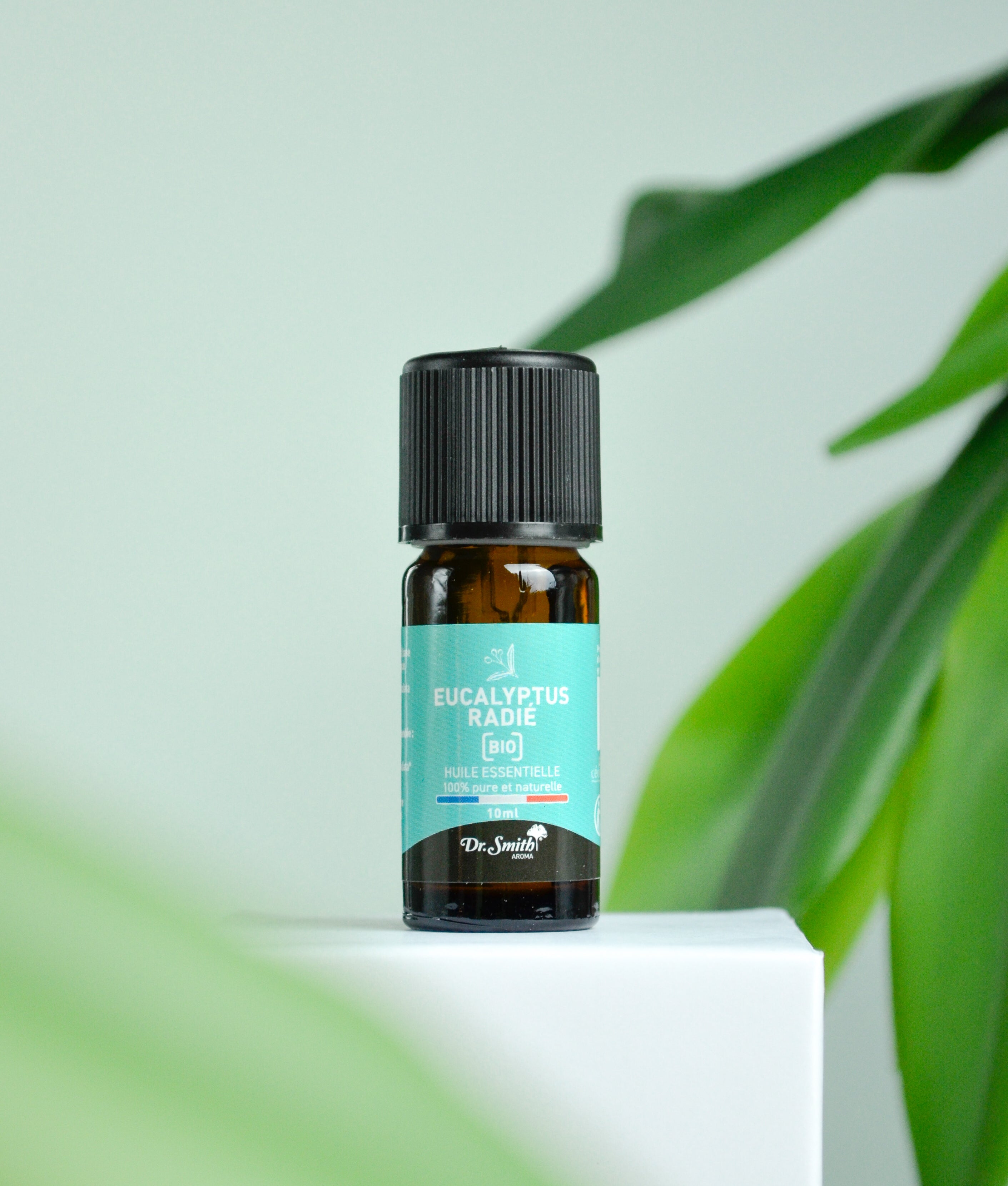 Huile Essentielle - Eucalyptus Radiata Bio [10ml]