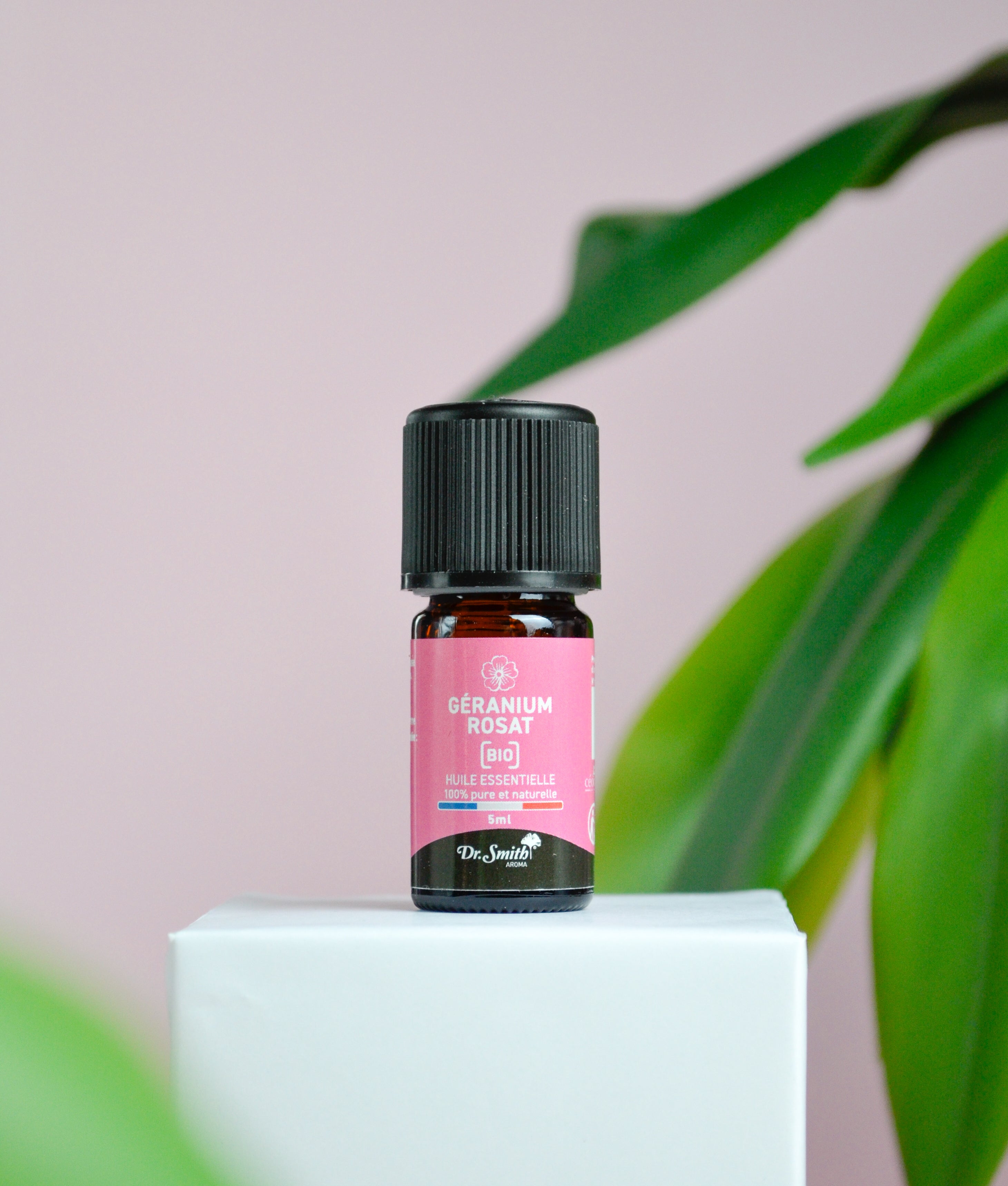 Huile Essentielle - Geranium Rosat Bio [10ml]