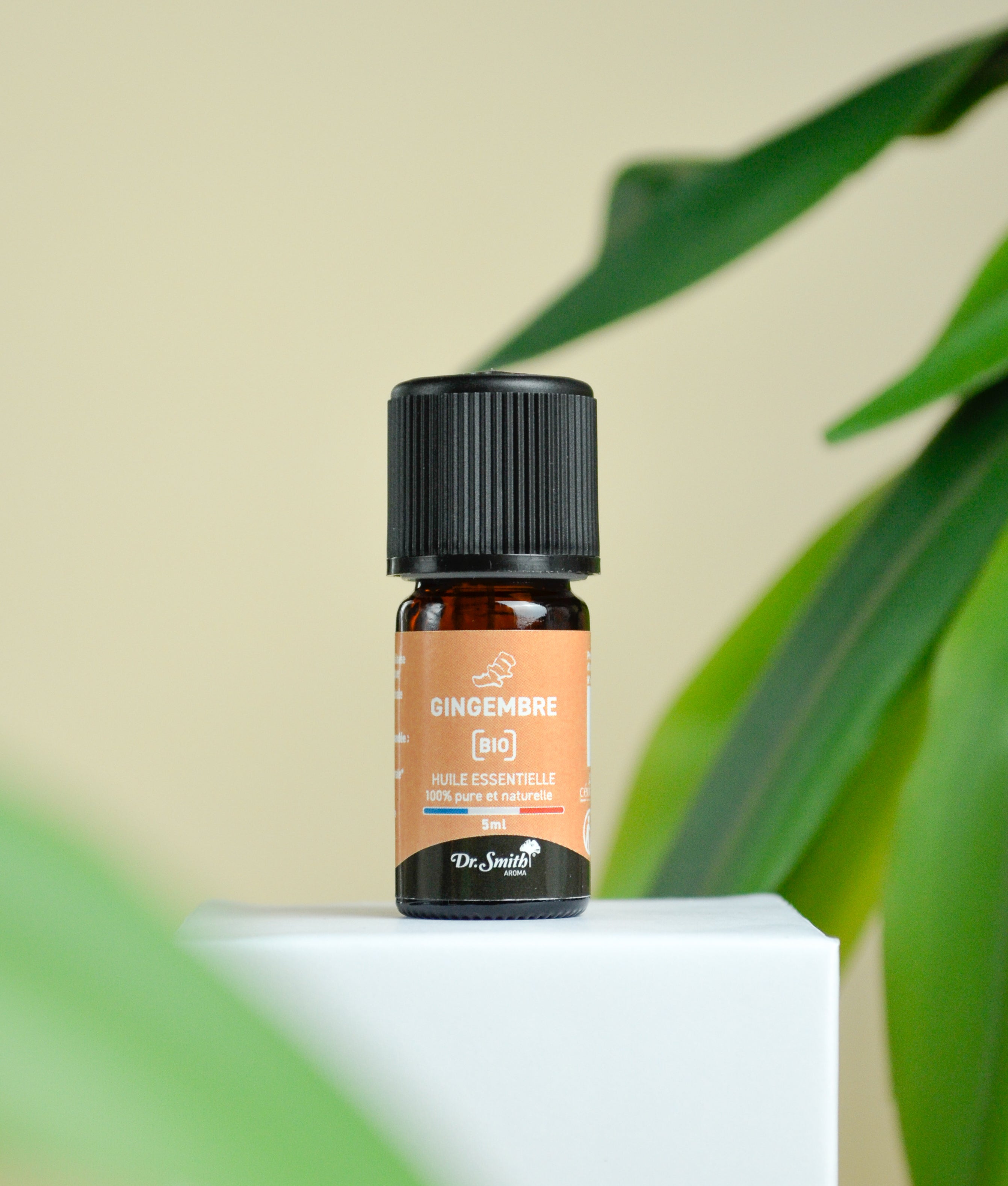 Huile Essentielle - Gingembre Bio [5ml]
