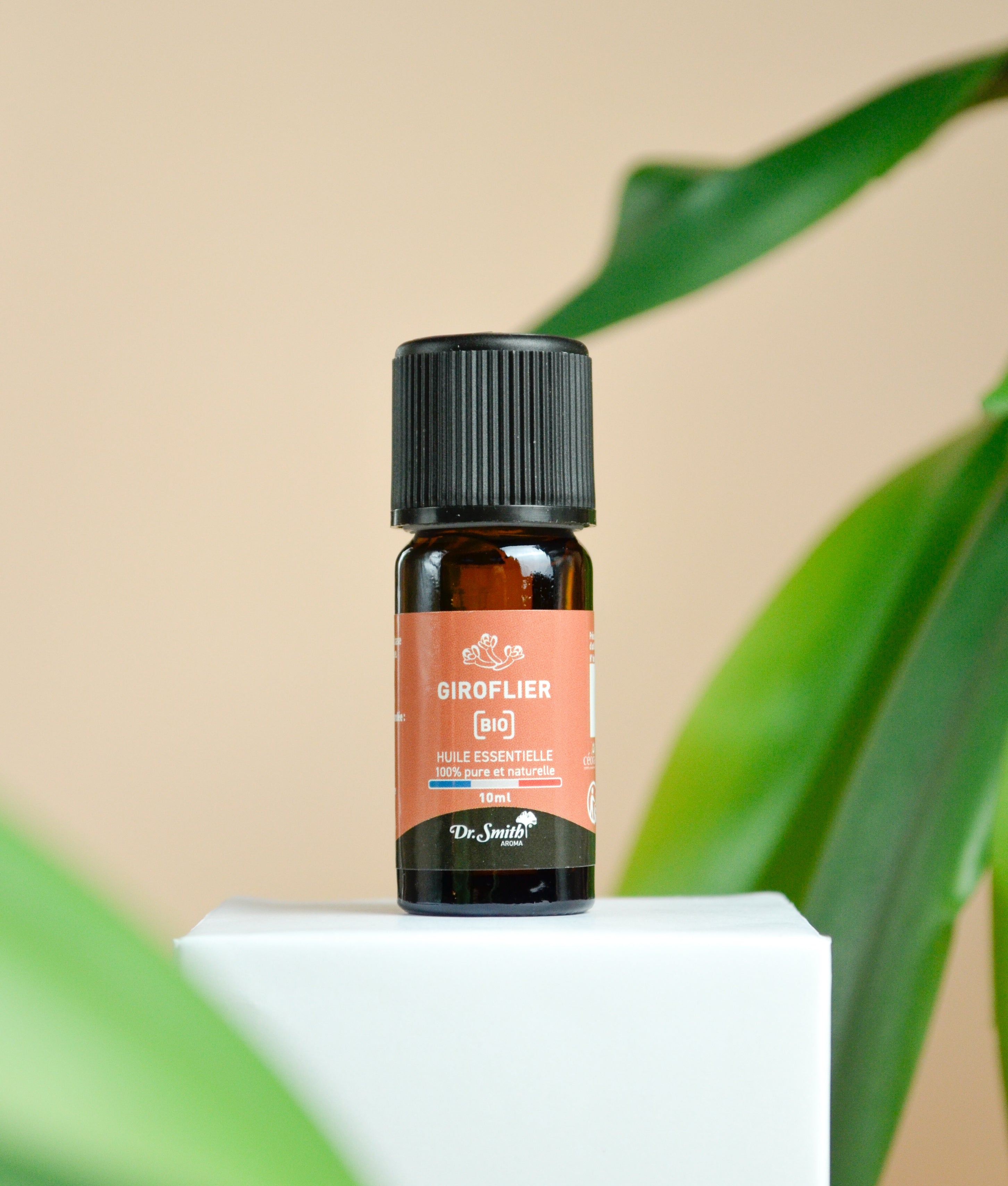Huile Essentielle - Giroflier Bio [10ml]