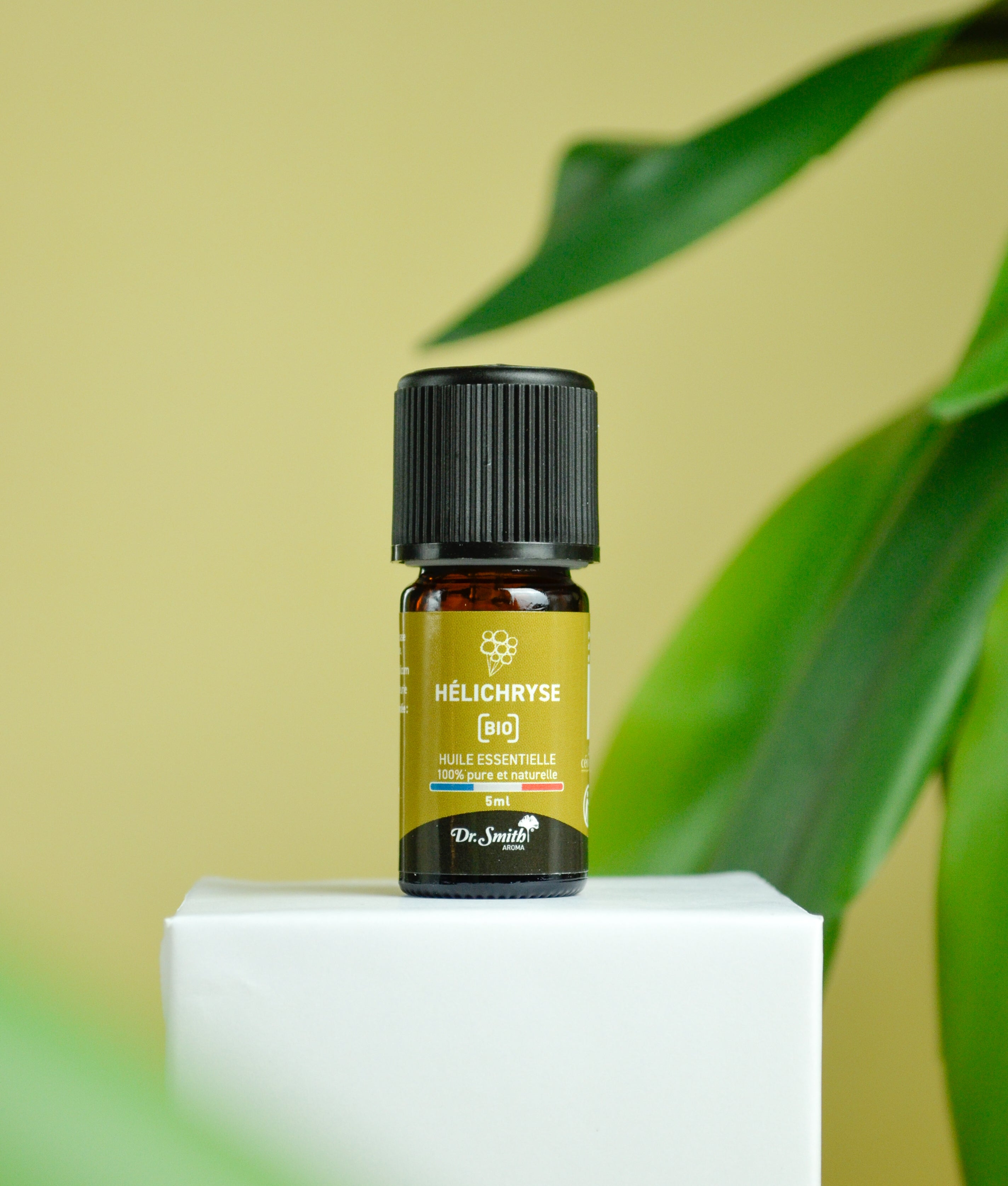 Huile Essentielle - Helichryse Bio [5ml]