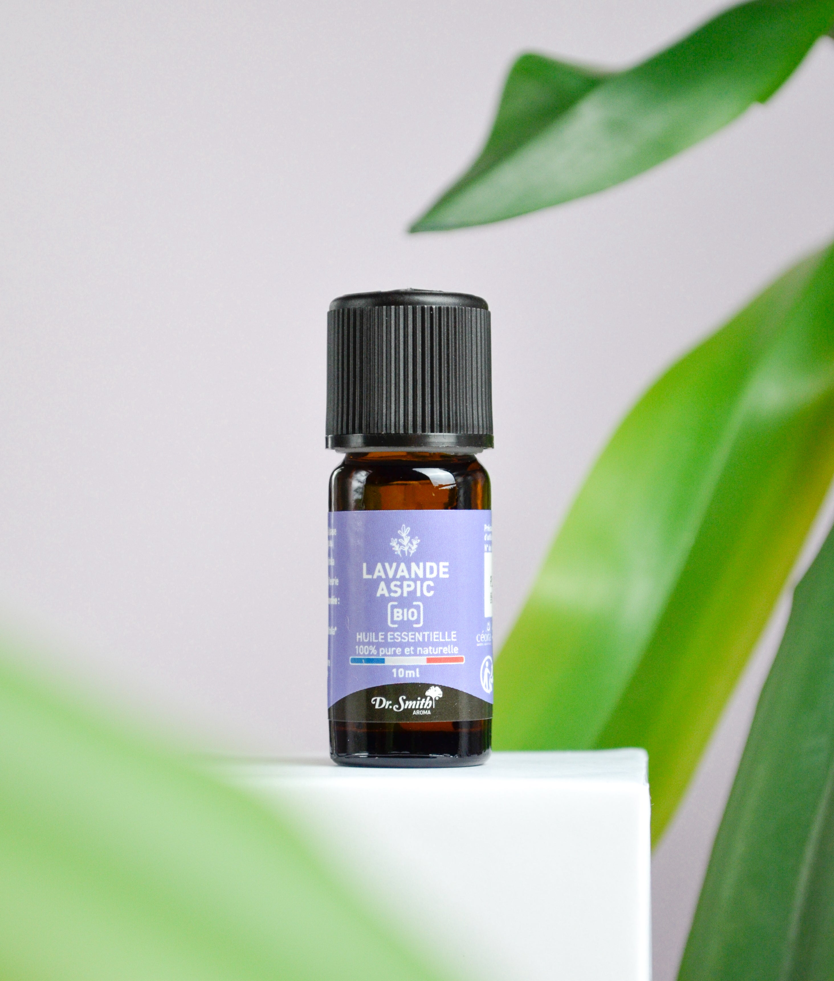 Huile Essentielle - Lavande Aspic Bio [10ml]