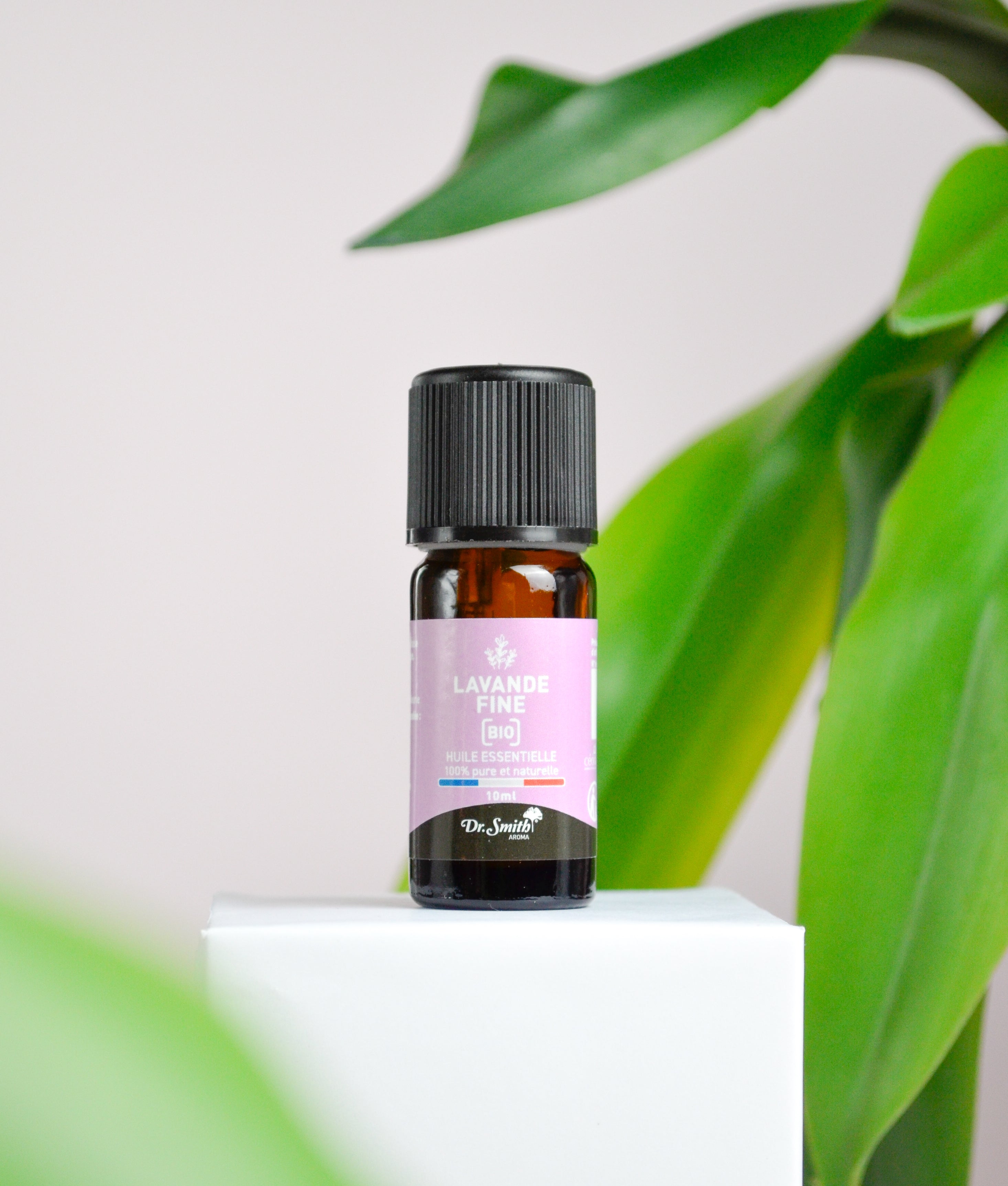 Huile Essentielle - Lavande Vraie Bio [10ml]