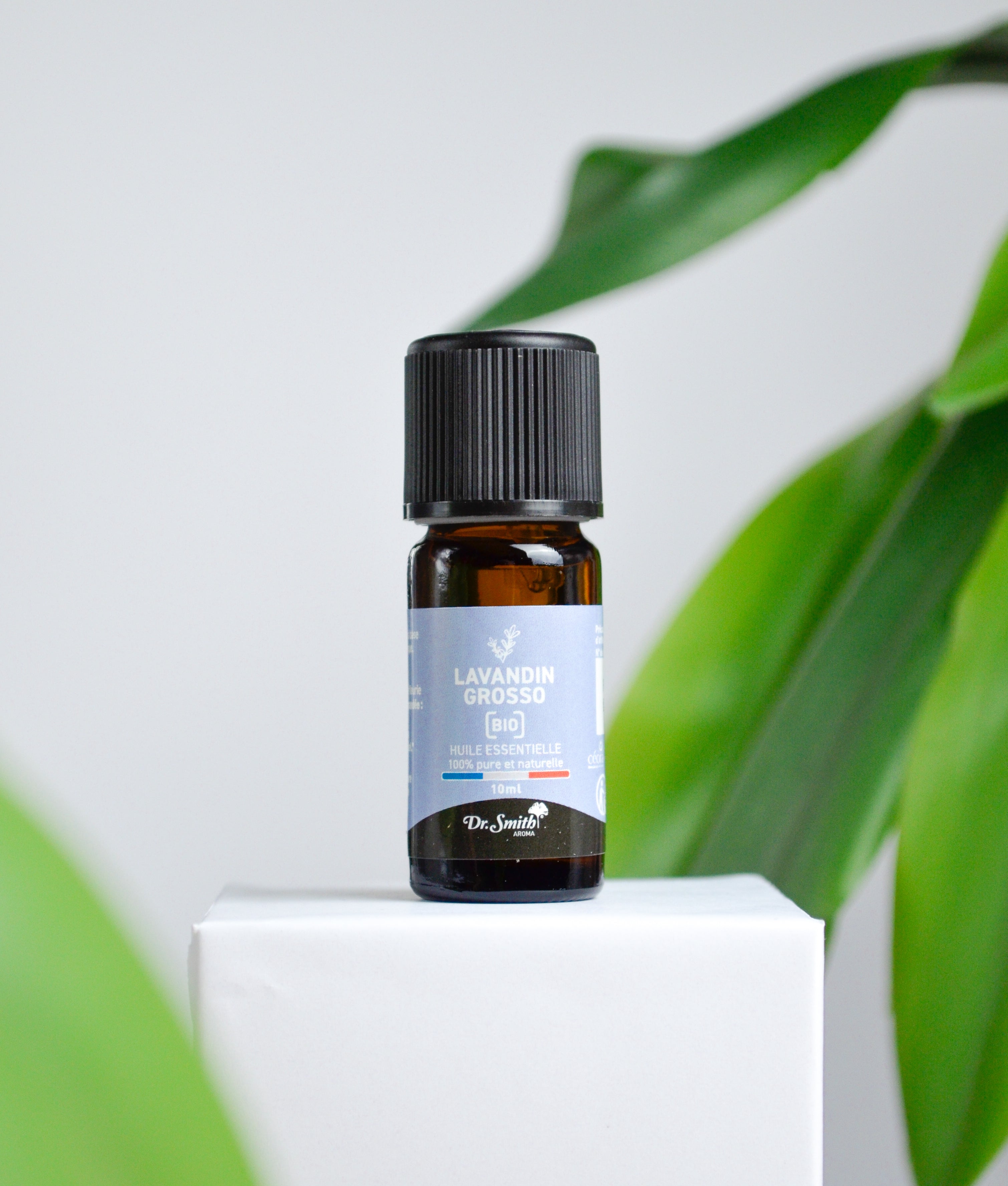 Huile Essentielle - Lavandin Grosso Bio [10ml]