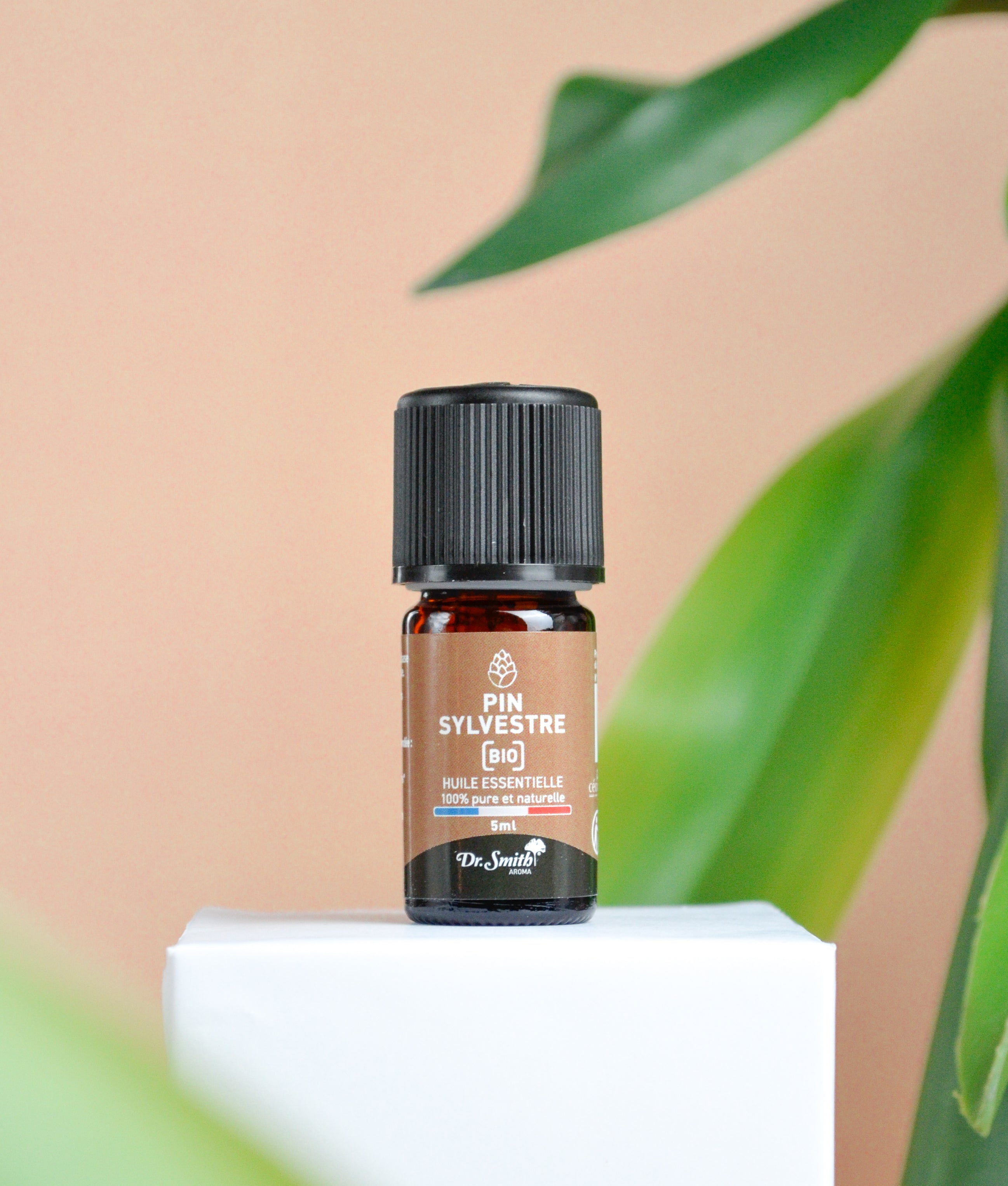 Huile Essentielle - Pin Sylvestre Bio [10ml]