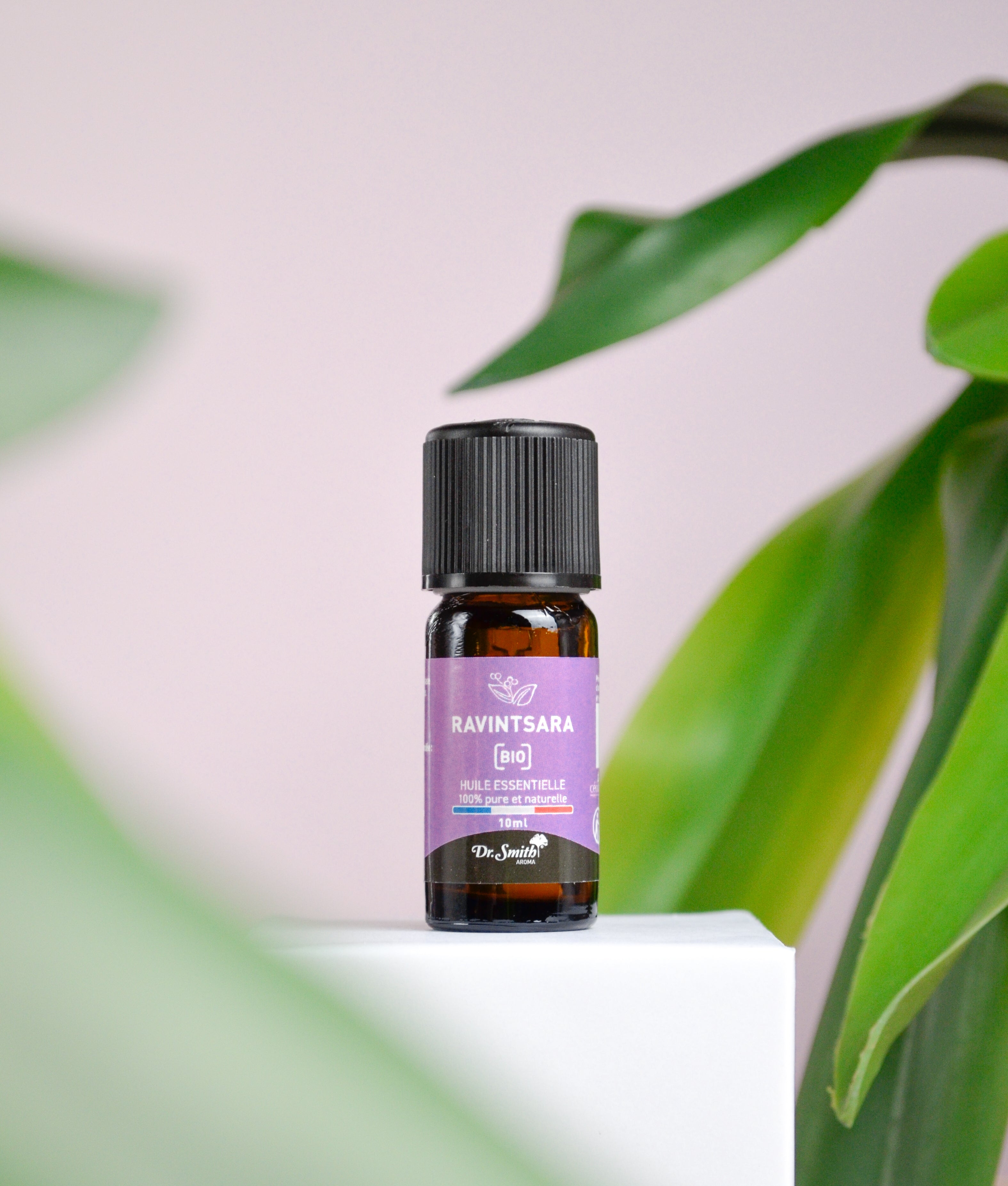 Huile Essentielle - Ravintsara Bio [10ml]