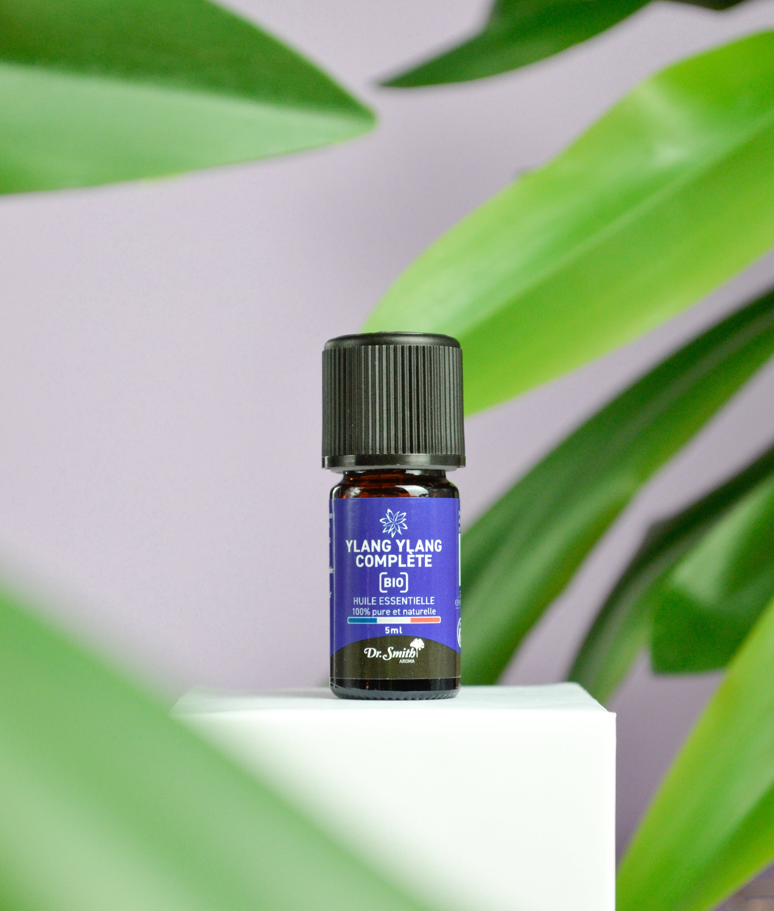 Huile Essentielle - Ylang Ylang Bio [5ml]