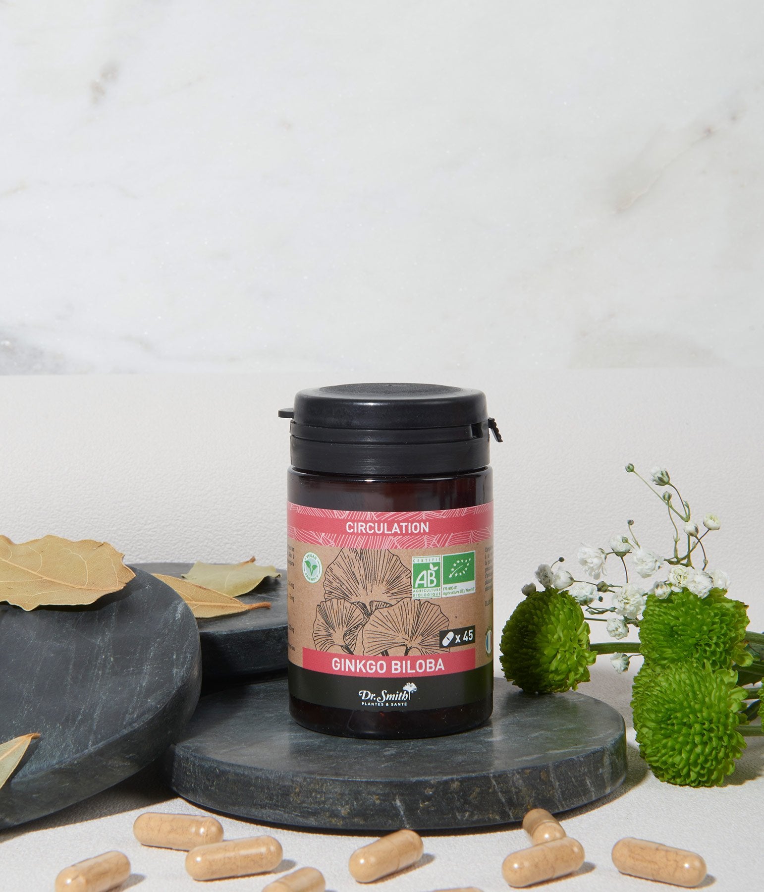drsmith-plante-circulation-ginkgobiloba-45