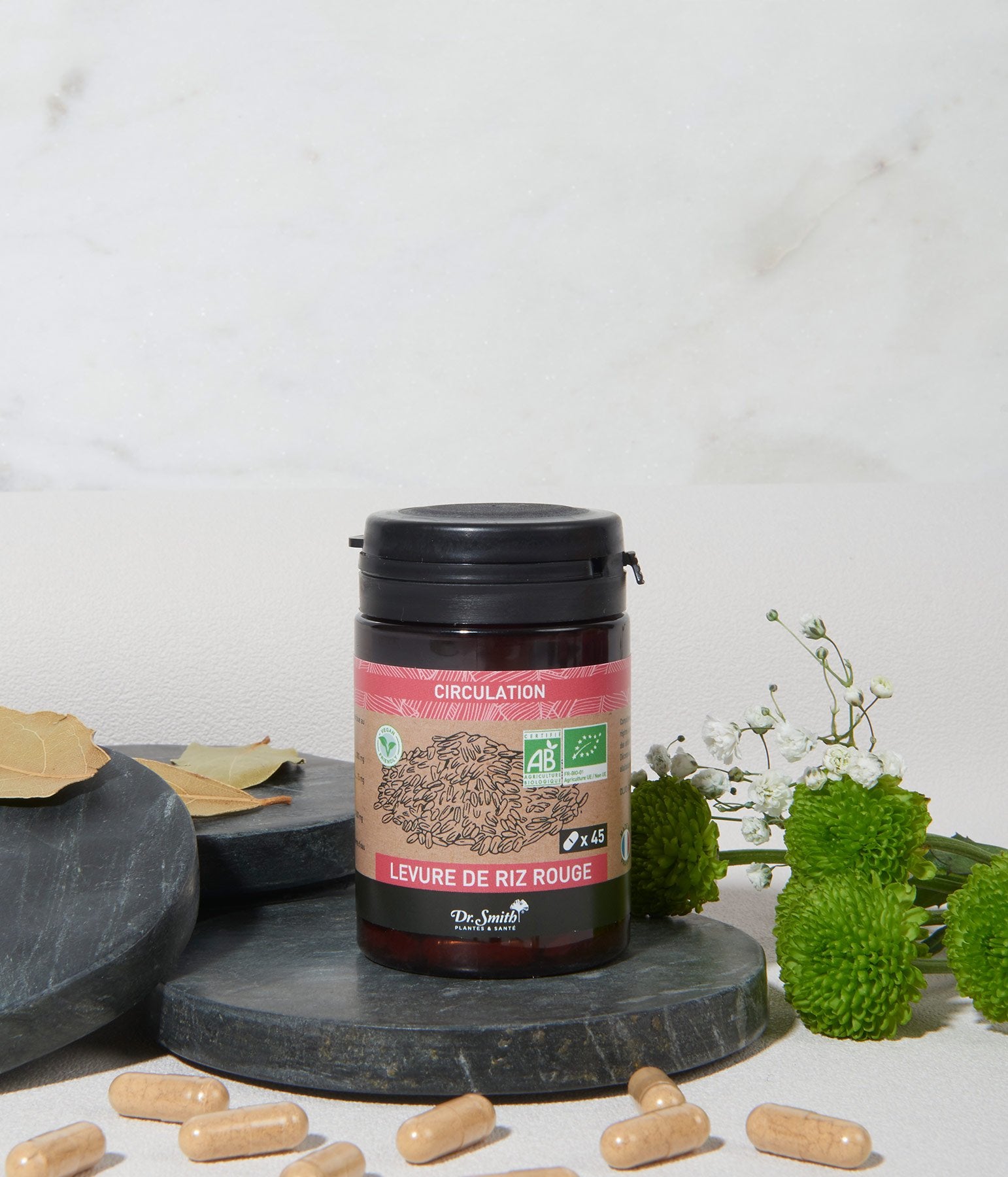drsmith-plante-circulation-levurederizrouge-45